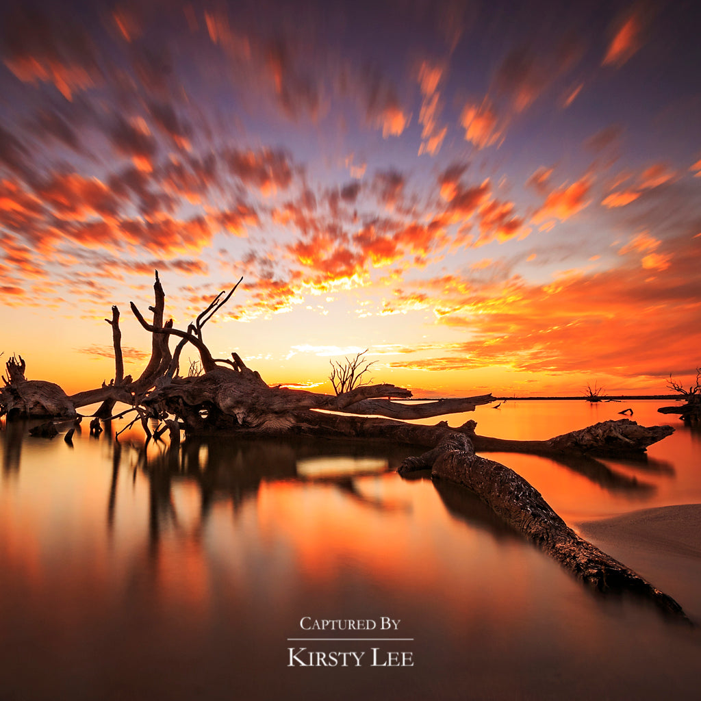 Riverland Lake Bonney Collection